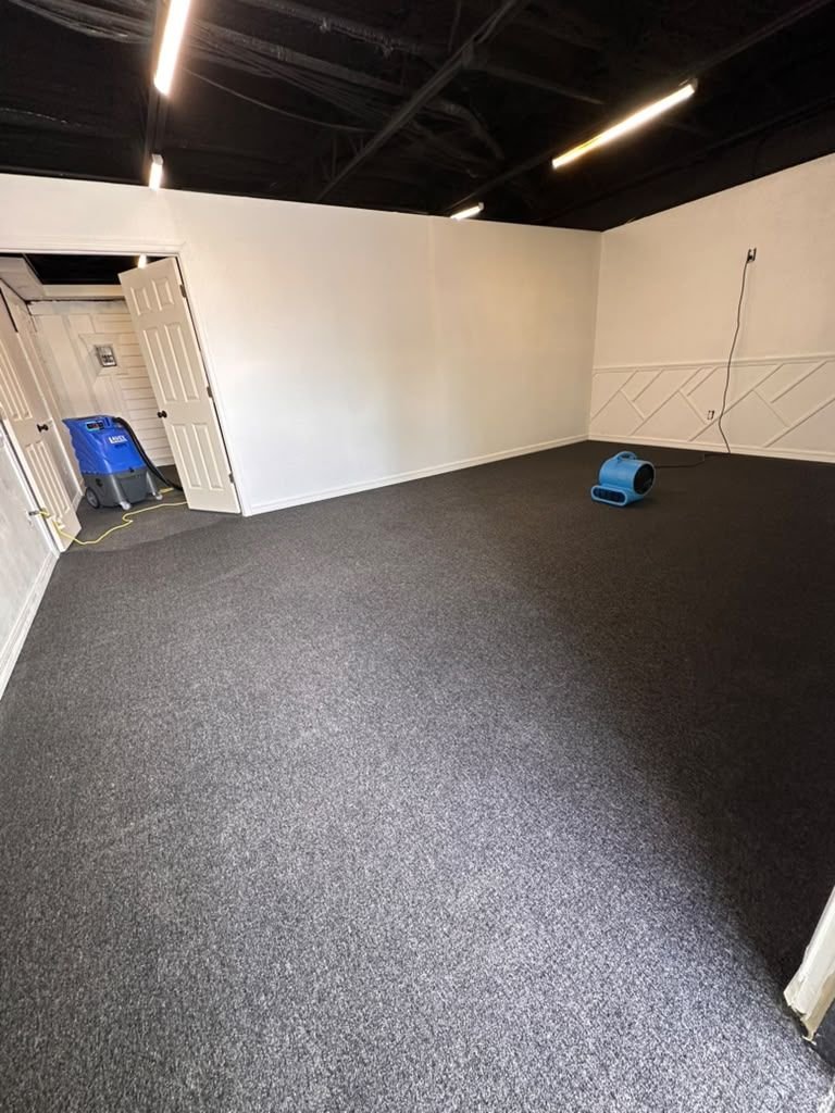 A freshly cleaned dark commercial carpet with an air mover and a blue extraction machine