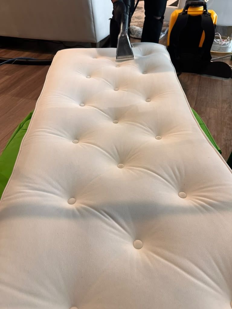 Close-up of an extraction wand cleaning a white tufted sofa cushion